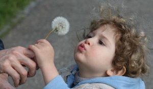 Cabinet de Psychothérapie. 7 rue Pierre Haret, Paris 9.