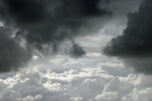 Tame his fear. Psychotherapy practice. 7 rue Pierre Haret, Paris 9.