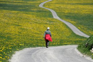 Symbolique du Cancer. Cabinet de Psychothérapie. 7 rue Pierre Haret, Paris 9.